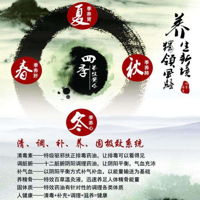 曼海姆大学ElectronicEngineeringDegreeCertificate